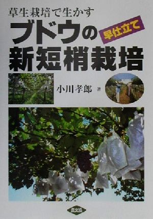 草生栽培で生かすブドウの早仕立て新短梢栽培