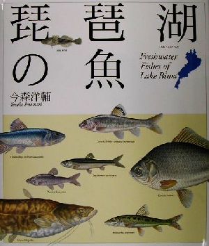 琵琶湖の魚