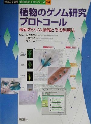 植物のゲノム研究プロトコール 最新のゲノム情報とその利用 植物細胞工学シリーズ14植物細胞工学シリ-ズ14