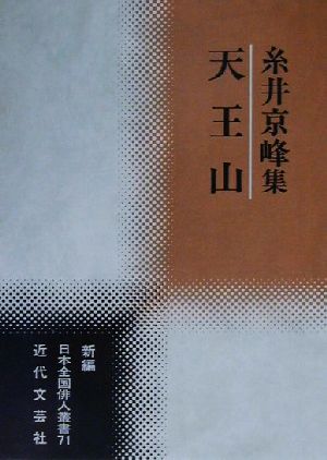 天王山 糸井京峰集 新編日本全国俳人叢書71