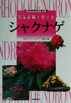 趣味の園芸 シャクナゲ 人気品種と育て方 NHK趣味の園芸