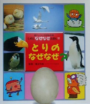 とりのなぜなぜ？ チャイルド科学絵本館しぜんなぜなぜえほん11