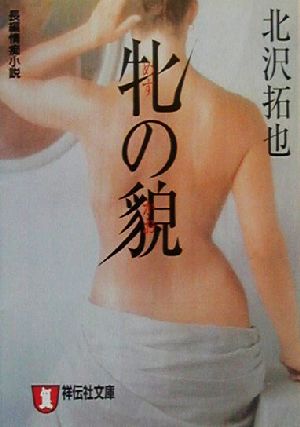 牝の貌 長編情痴小説 祥伝社文庫