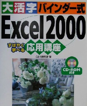 大活字バインダー式 Excel2000応用講座 すばやく学べる