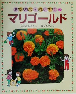 お花がさいた・やさいができた(7) マリゴールド