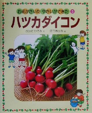 お花がさいた・やさいができた(5)ハツカダイコン