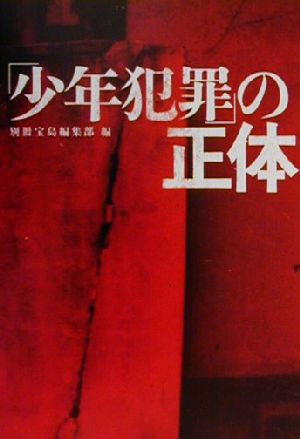 「少年犯罪」の正体 宝島社文庫