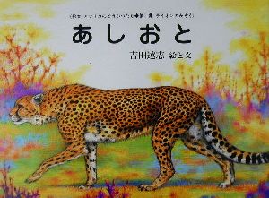 あしおと 絵本アフリカのどうぶつたち第1集・ライオンのかぞく