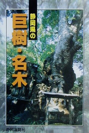静岡県の巨樹・名木