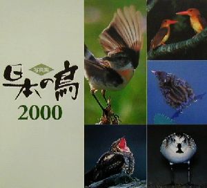 写真集 日本の鳥(2000)