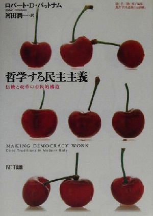 哲学する民主主義 伝統と改革の市民的構造 叢書「世界認識の最前線」