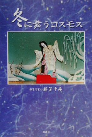 冬に舞うコスモス