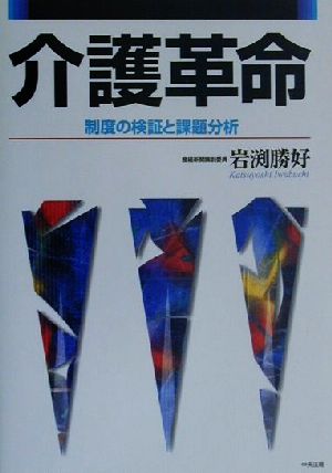 介護革命 制度の検証と課題分析