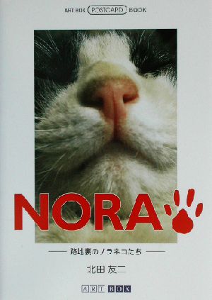 NORA 路地裏のノラネコたち ART BOX POSTCARD BOOK