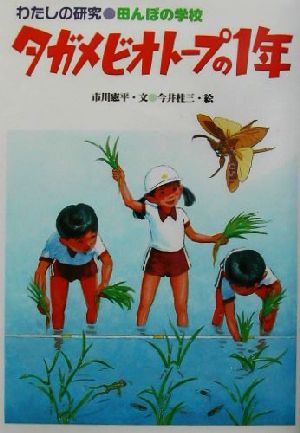 わたしの研究(10) 田んぼの学校・タガメビオトープの1年