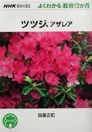 趣味の園芸 ツツジ、アザレア よくわかる栽培12か月 NHK趣味の園芸