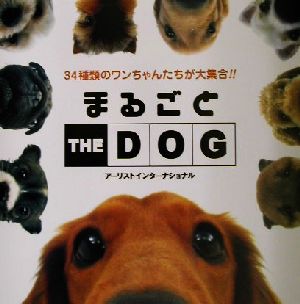 まるごとTHE DOG The dog