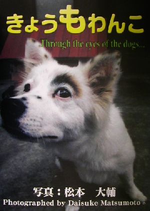 きょうもわんこ through the eyes of the dogs…