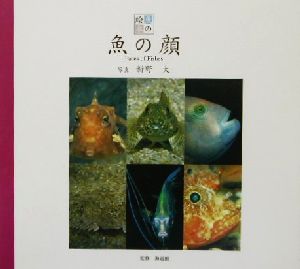 魚の顔魚の絵本3
