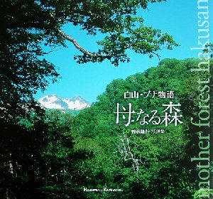 白山・ブナ物語 母なる森 曽我隆行写真集