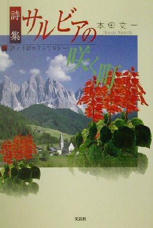 詩集 サルビアの咲く町 詩と小説のアンソロジー