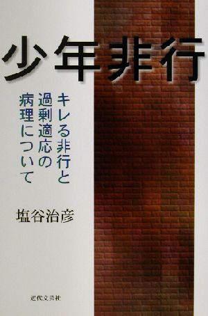 少年非行 キレる非行と過剰適応の病理について