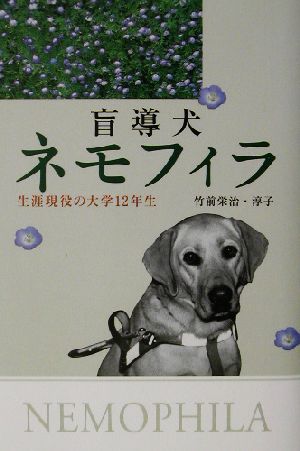 盲導犬ネモフィラ 生涯現役の大学12年生