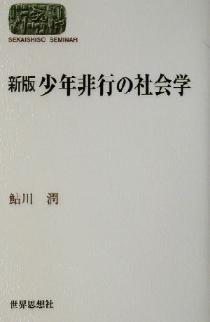 新版 少年非行の社会学 SEKAISHISO SEMINAR