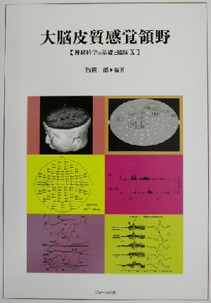 大脳皮質感覚領野(10) 神経科学の基礎と臨床 神経科学の基礎と臨床10