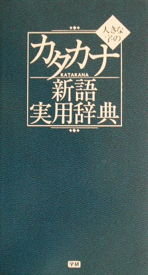 大きな字のカタカナ新語実用辞典