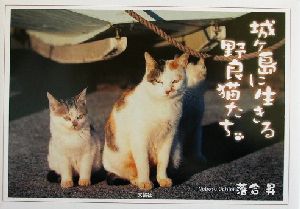 城ヶ島に生きる野良猫たち