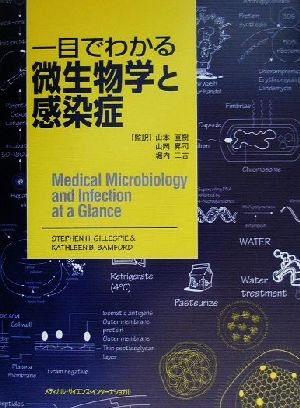 一目でわかる微生物学と感染症