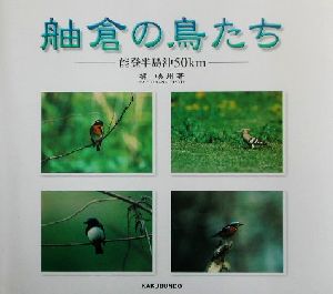 舳倉の鳥たち 能登半島沖50km