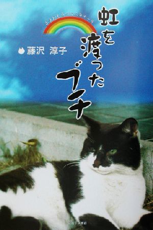 虹を渡ったブチ ボクがもらった三年十ヶ月