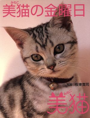 美猫の金曜日