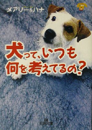 犬って、いつも何を考えてるの？ 王様文庫