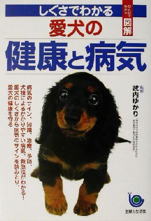 しぐさでわかる愛犬の健康と病気 ひと目でわかる！図解 ひと目でわかる！図解