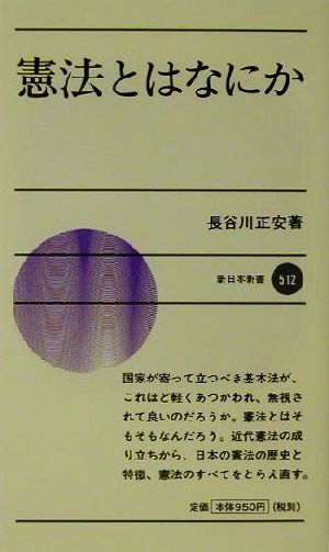 憲法とはなにか 新日本新書