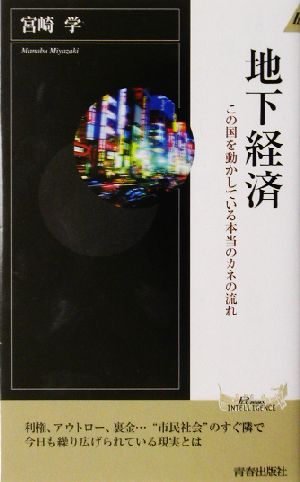 地下経済 この国を動かしている本当のカネの流れ 青春新書INTELLIGENCE