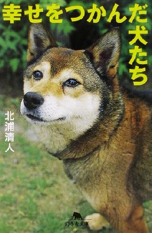 幸せをつかんだ犬たち 幻冬舎文庫