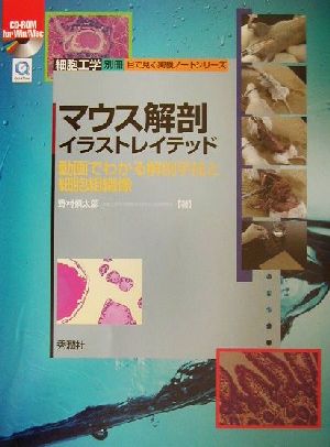 マウス解剖イラストレイテッド 動画でわかる解剖手技と細胞組織像 目で見る実験ノートシリーズ目で見る実験ノ-トシリ-ズ