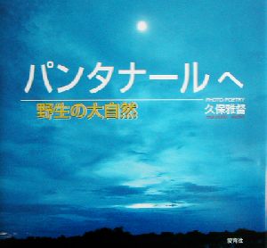 野生の大自然パンタナールへ 野生の大自然