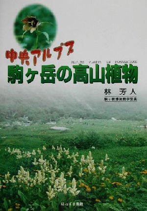 中央アルプス駒ヶ岳の高山植物