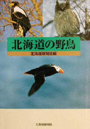 北海道の野鳥