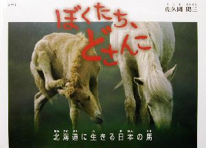 ぼくたち、どさんこ 北海道に生きる日本の馬