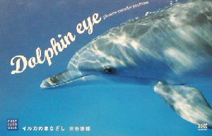 Dolphin eyeイルカのまなざし