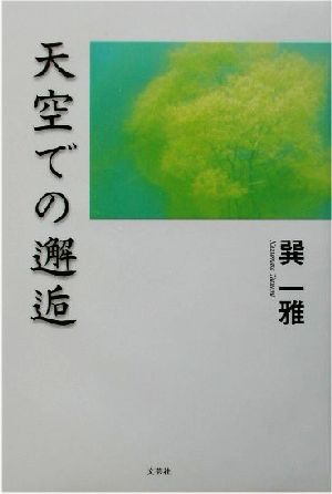 天空での邂逅