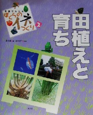 写真でわかるぼくらのイネつくり(2) 田植えと育ち