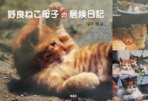 野良ねこ母子の居候日記