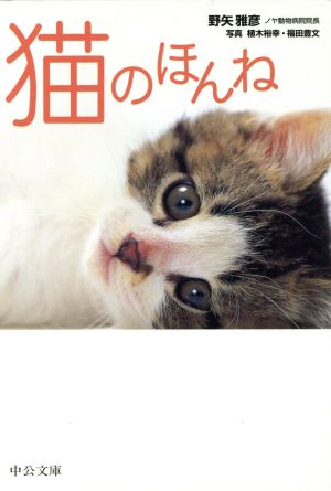 猫のほんね 中公文庫